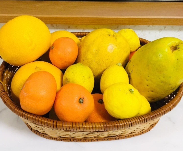 16 柑橘酵素