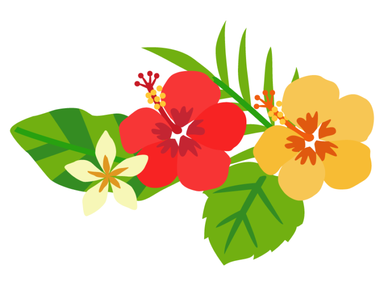 flower_hibiscus_illust_930-768x572